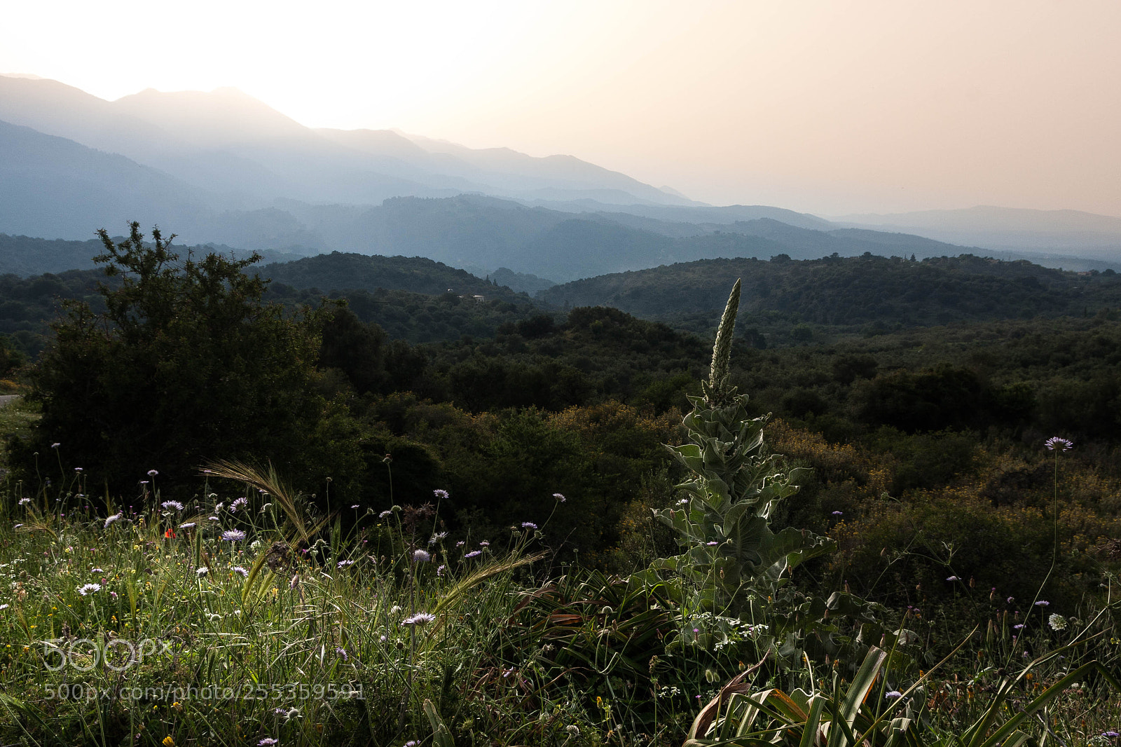 Canon EOS 40D sample photo. 2022 photography