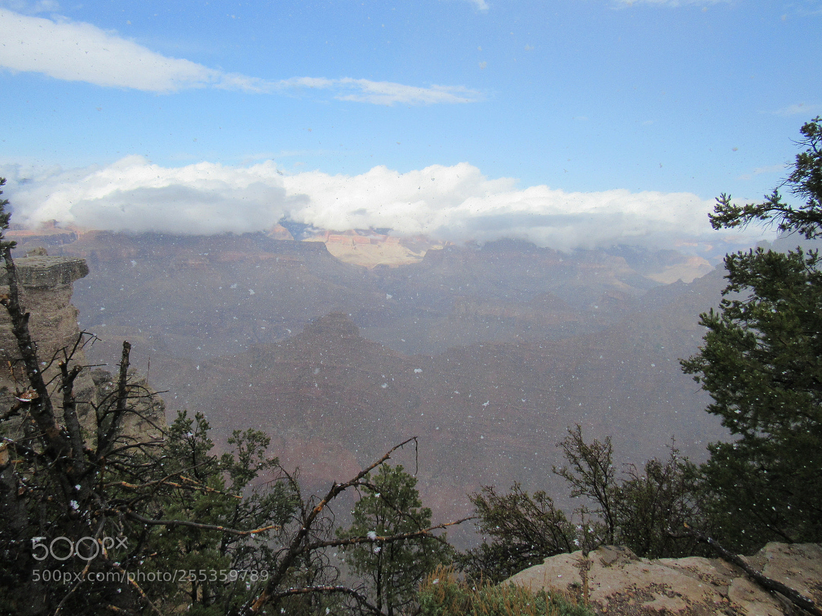 Canon PowerShot SX530 HS sample photo. Img photography