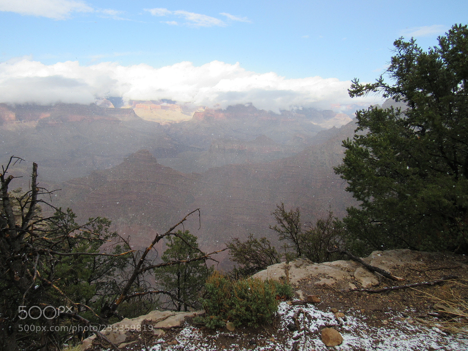 Canon PowerShot SX530 HS sample photo. Img photography