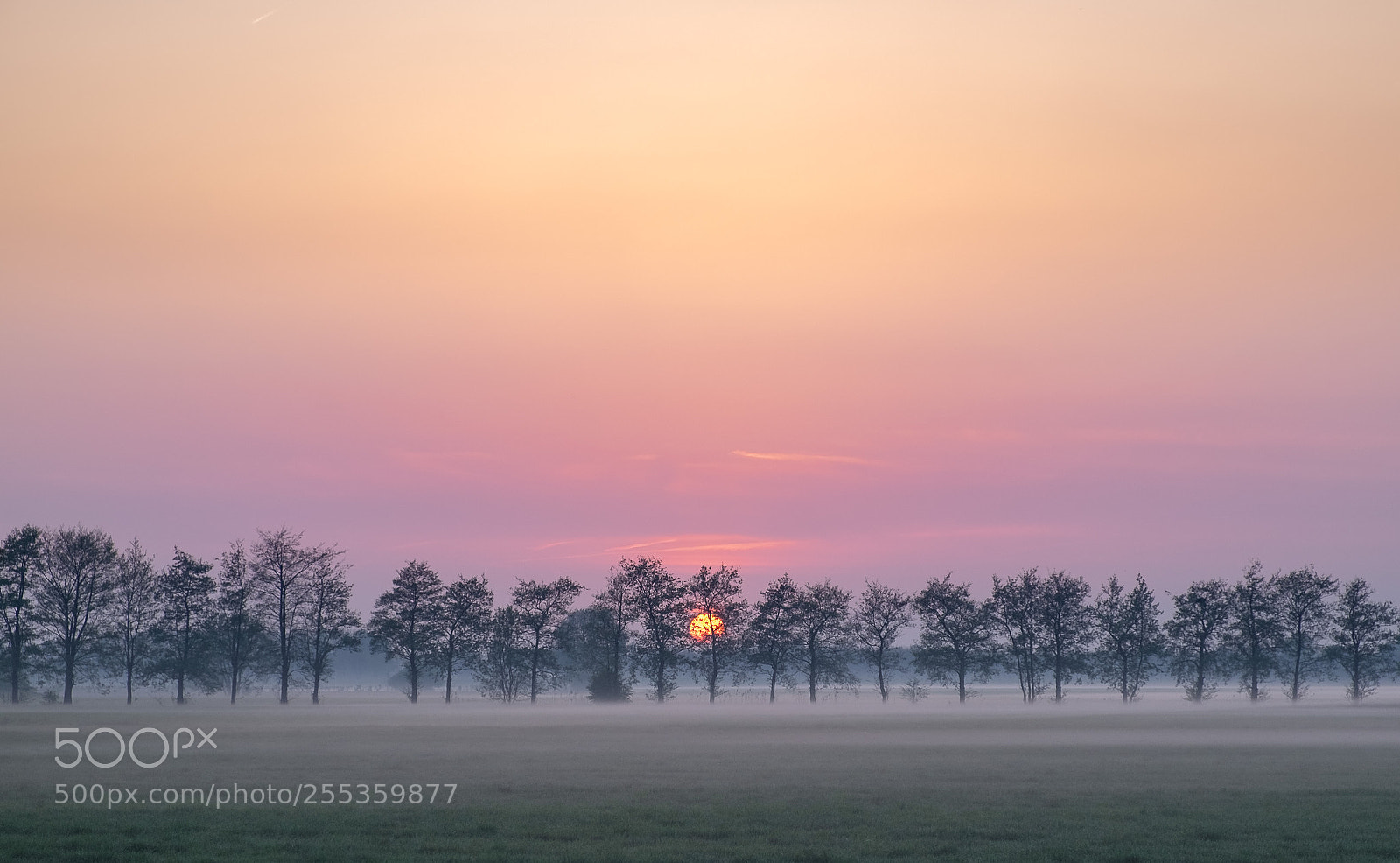 Fujifilm X-T1 sample photo. Onverwachts photography