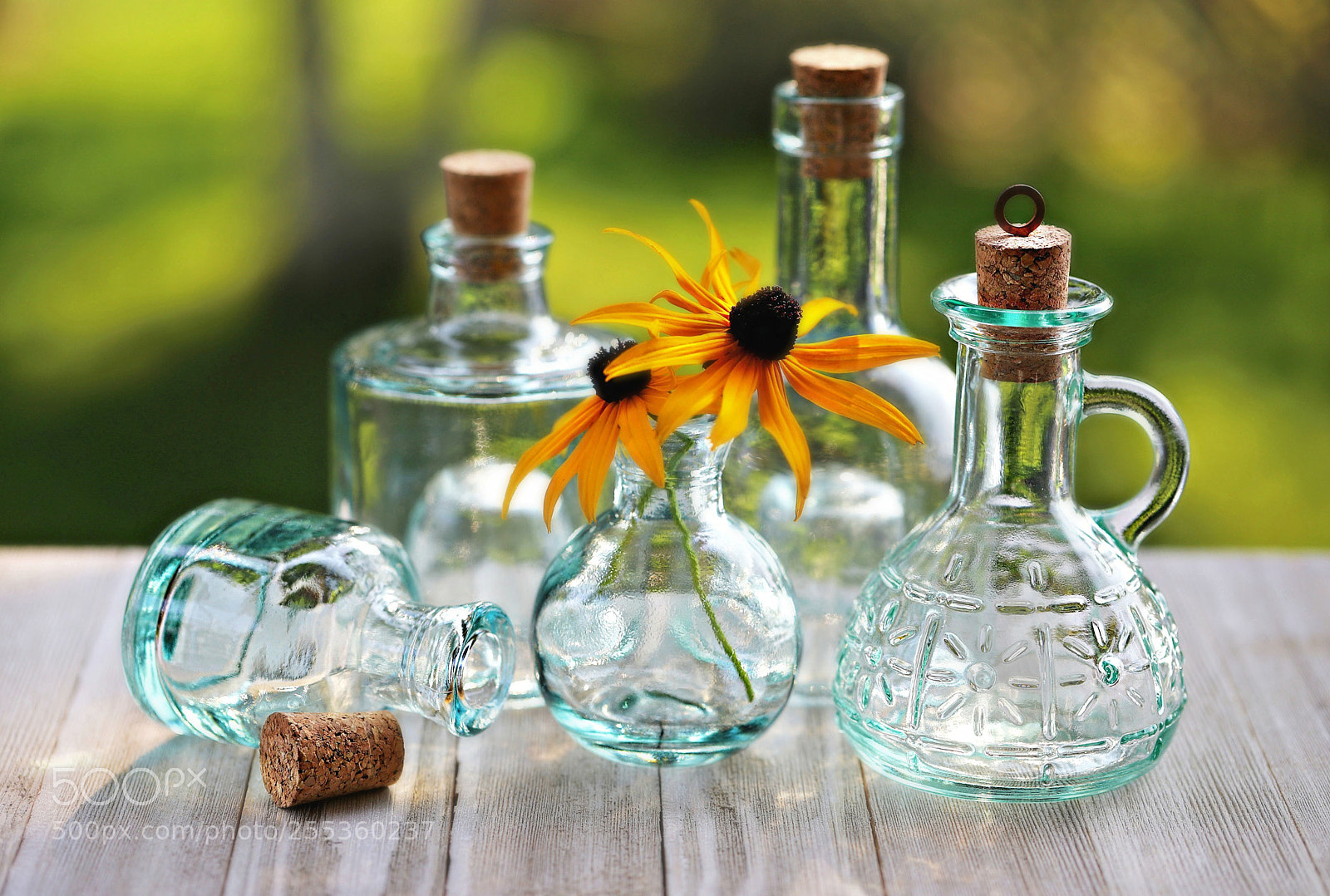 Canon EOS 6D Mark II sample photo. The glass garden photography