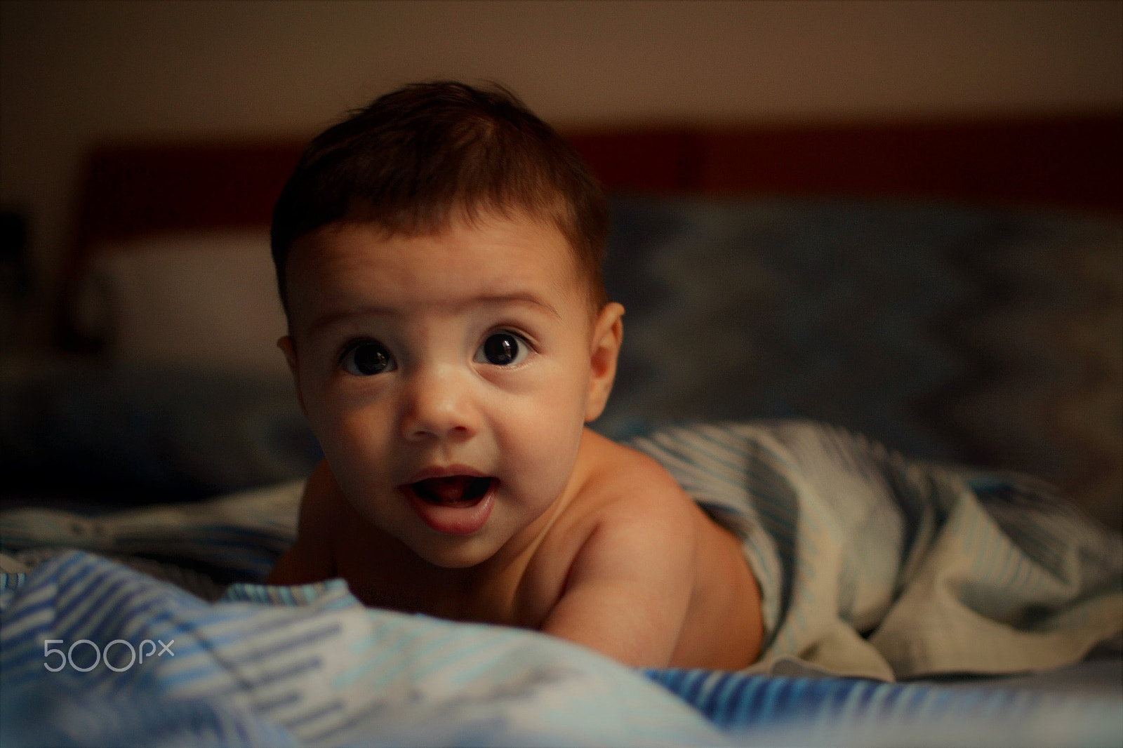 Nikon D3100 + Nikon AF-S DX Nikkor 35mm F1.8G sample photo. From under the sheets photography