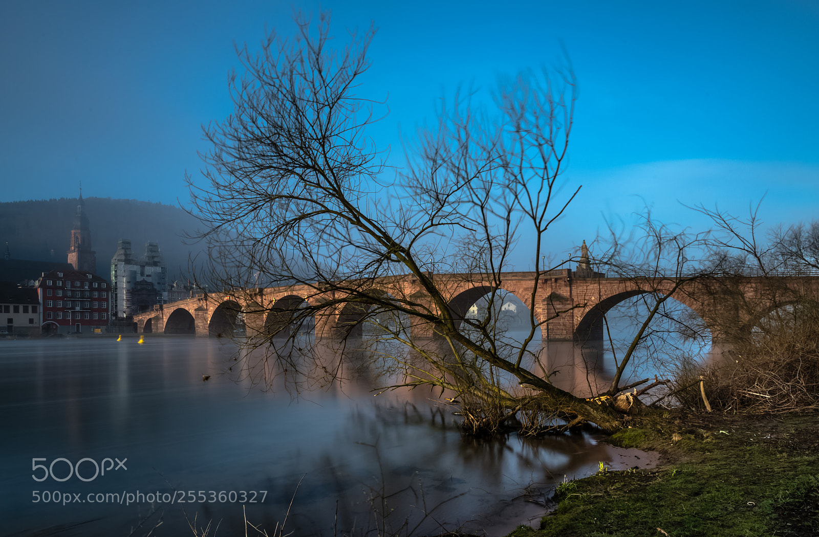 Canon EOS 5D Mark IV sample photo. Neckar, heidelberg, germany photography