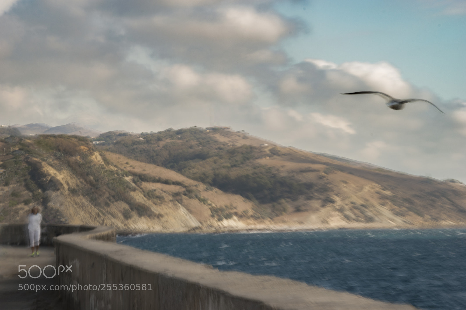 Nikon D5500 sample photo. Puerto de tarifa photography