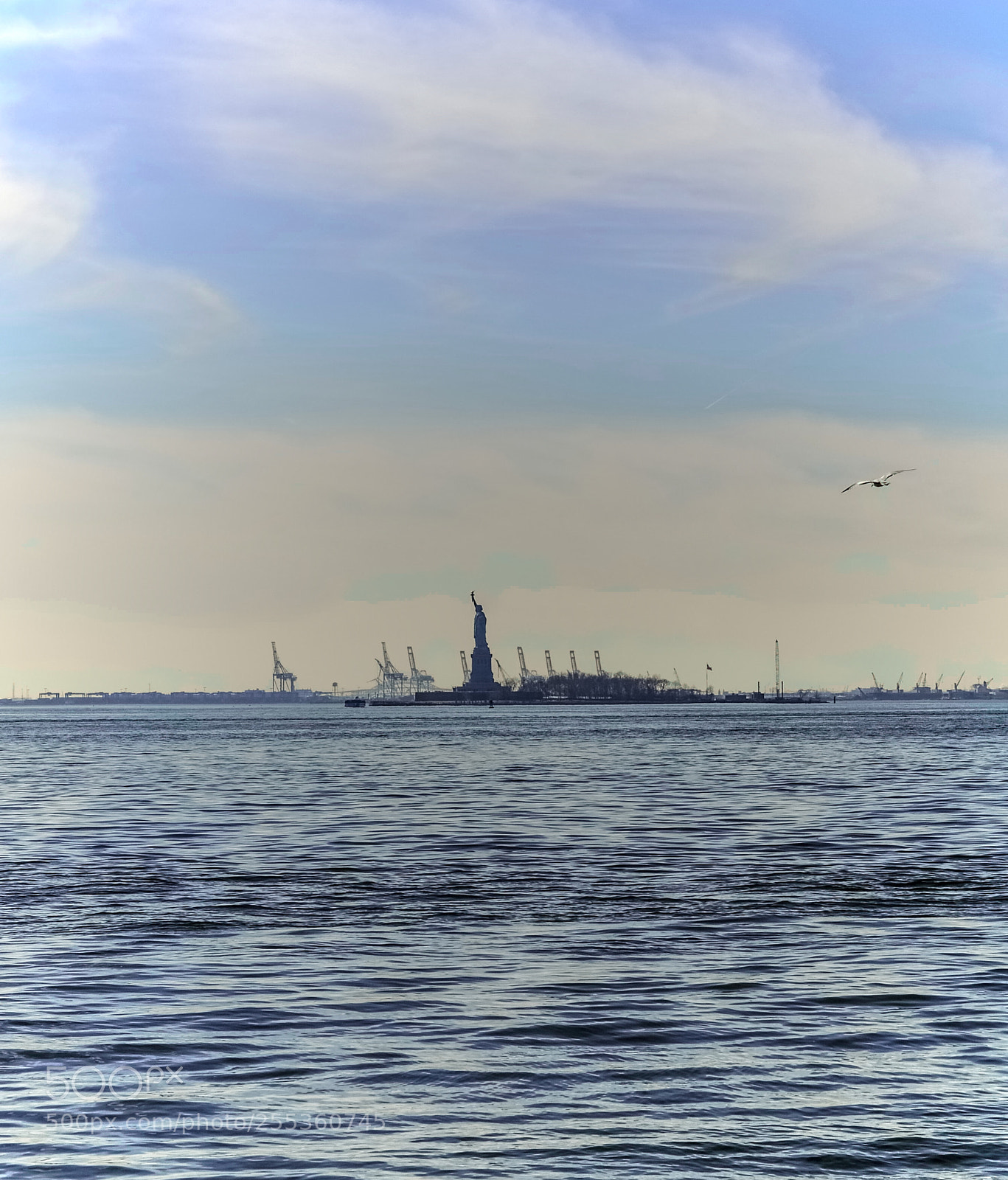 Nikon D90 sample photo. Flight of freedom photography