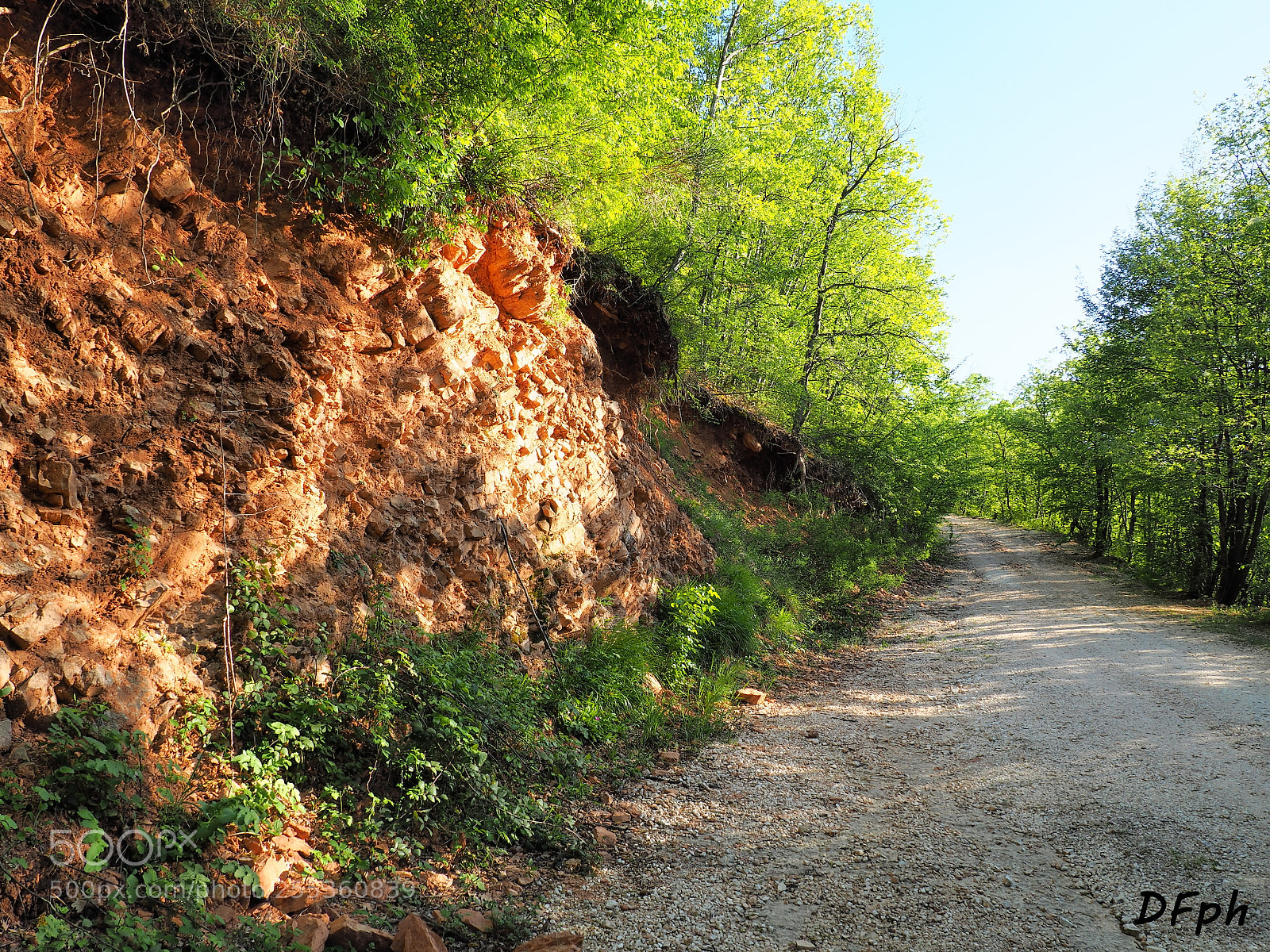 Olympus OM-D E-M10 II sample photo. Strada rurale photography