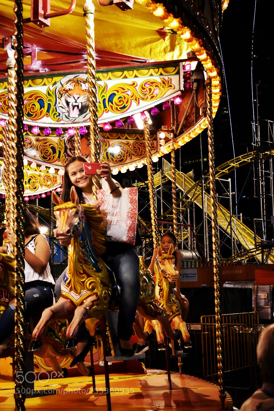Nikon D5500 sample photo. Carouselfie photography
