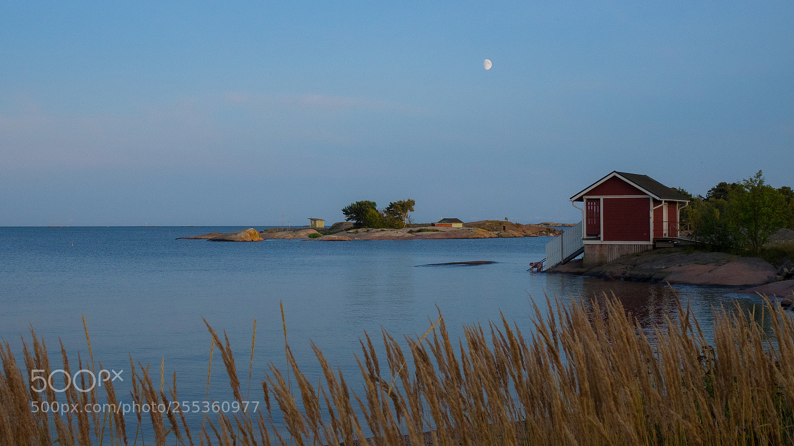 Olympus OM-D E-M1 sample photo. Lonely swimmer at baltic photography