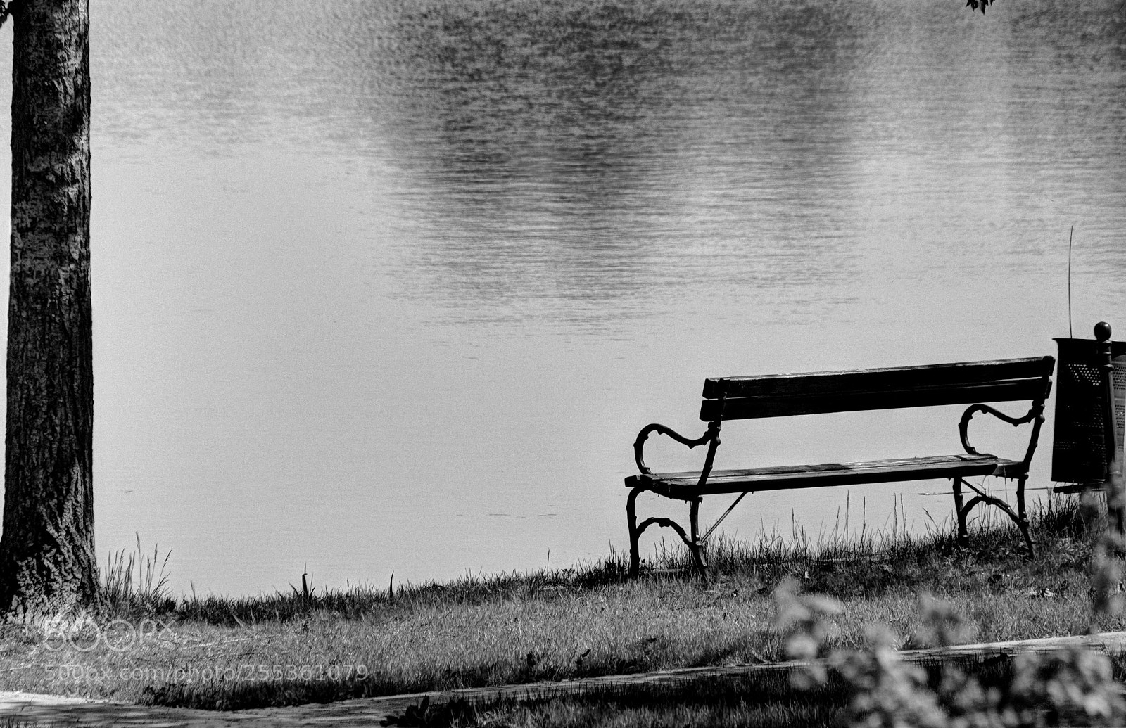 Canon EOS 700D (EOS Rebel T5i / EOS Kiss X7i) sample photo. Alone from everyone photography