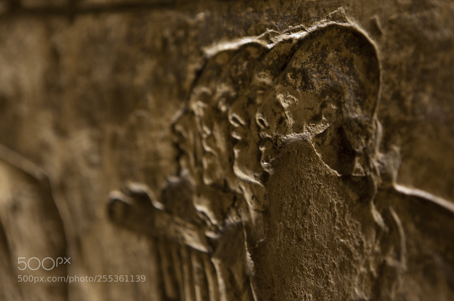 Canon EOS 5D Mark II sample photo. Untitled photography