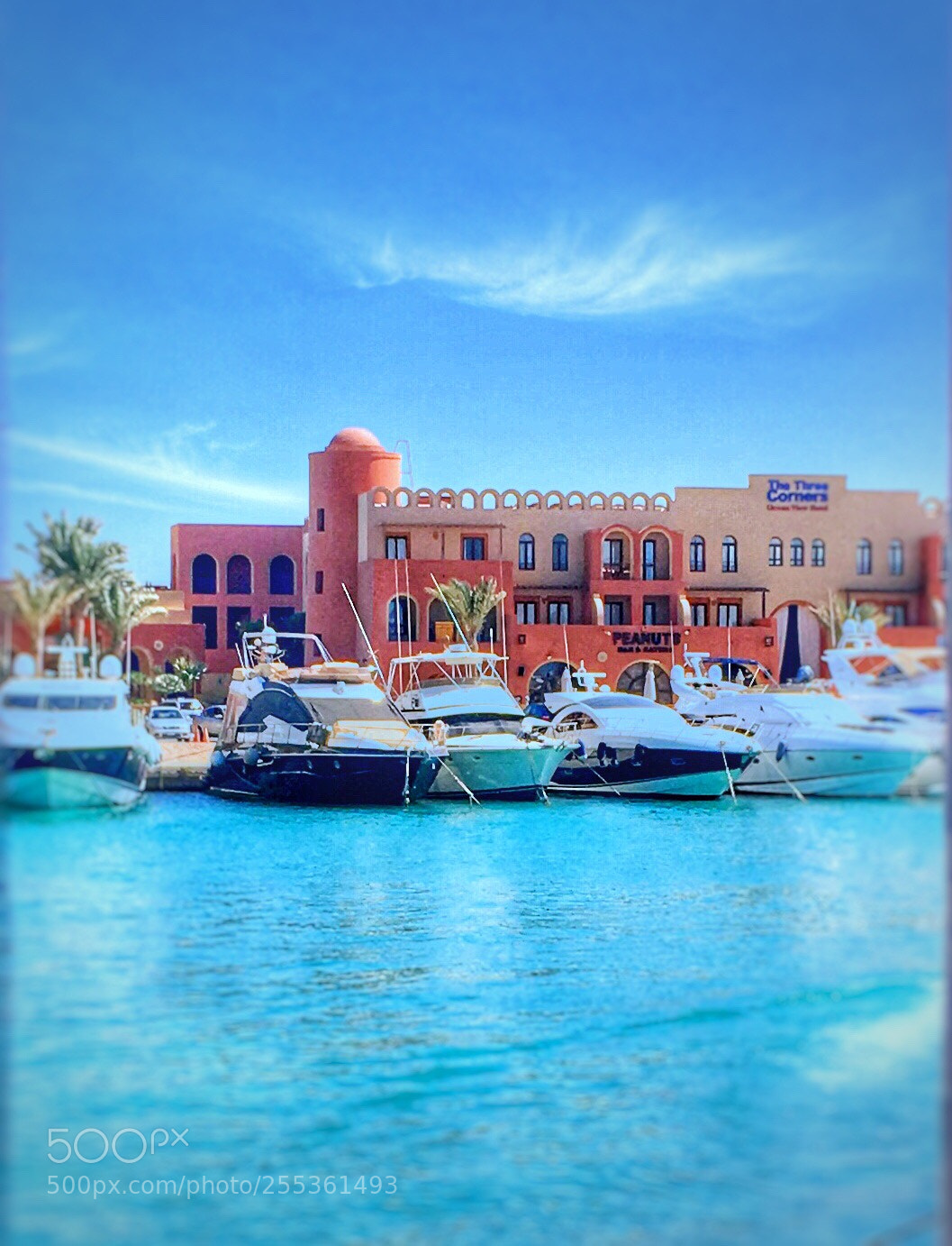 Apple iPhone SE sample photo. Algouna  photography