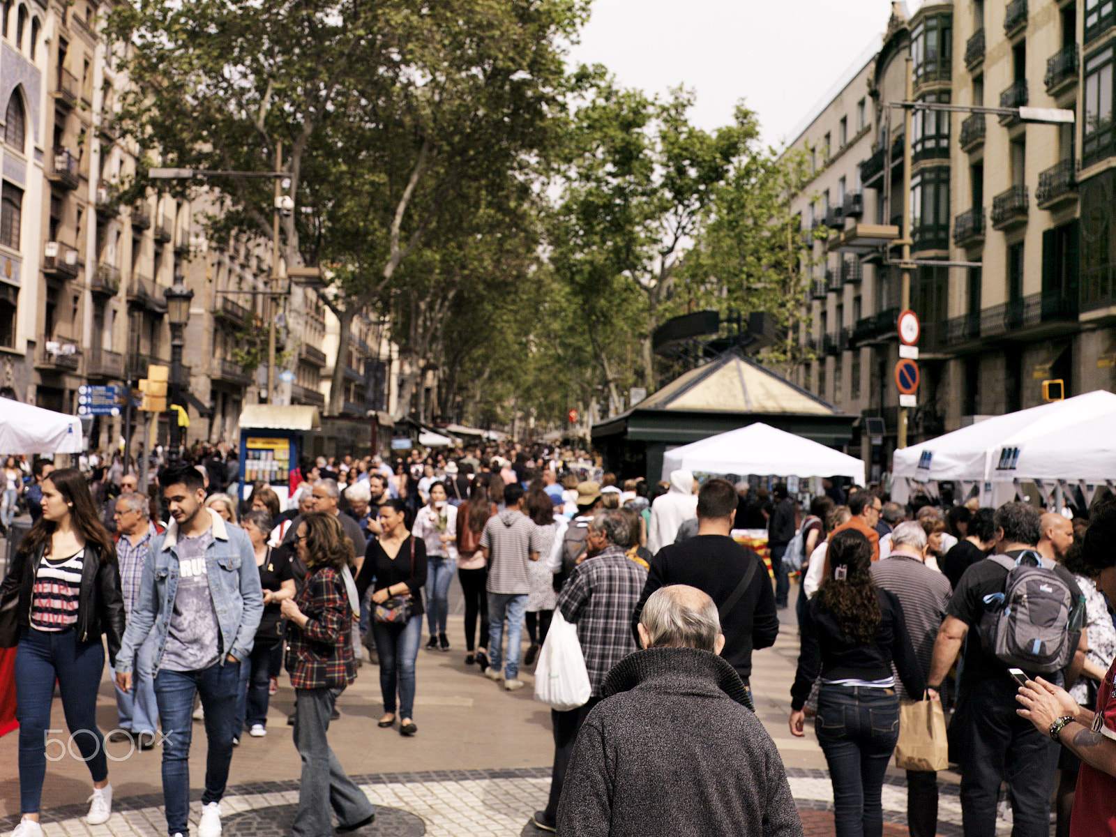 Hasselblad CF-39 sample photo. Sant jordi celebration photography