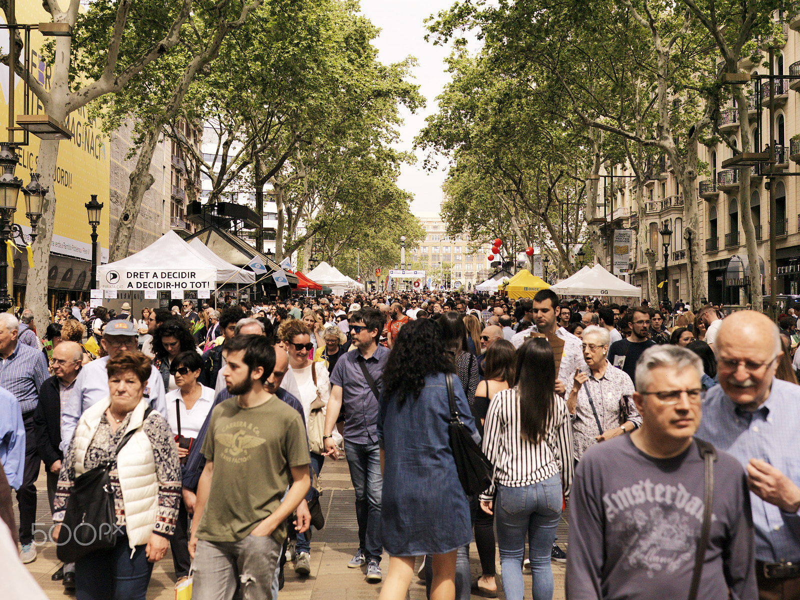 Hasselblad CF-39 sample photo. Sant jordi celebration photography