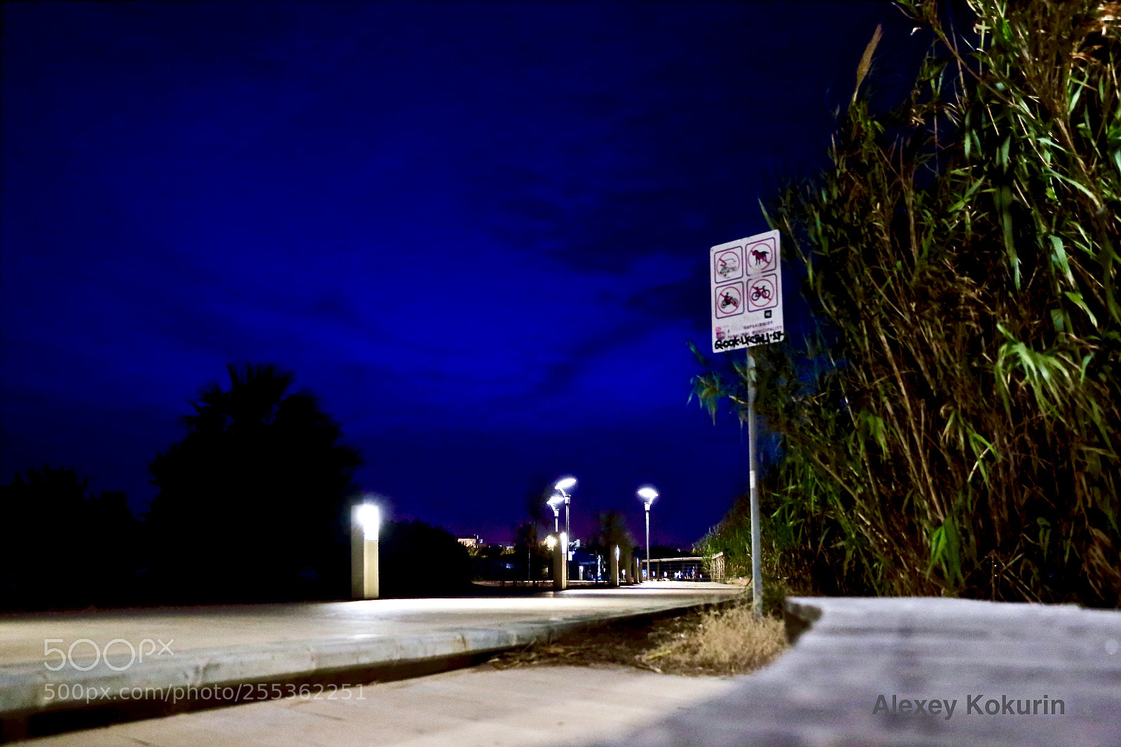 Canon EOS 6D sample photo. Out of focus) photography