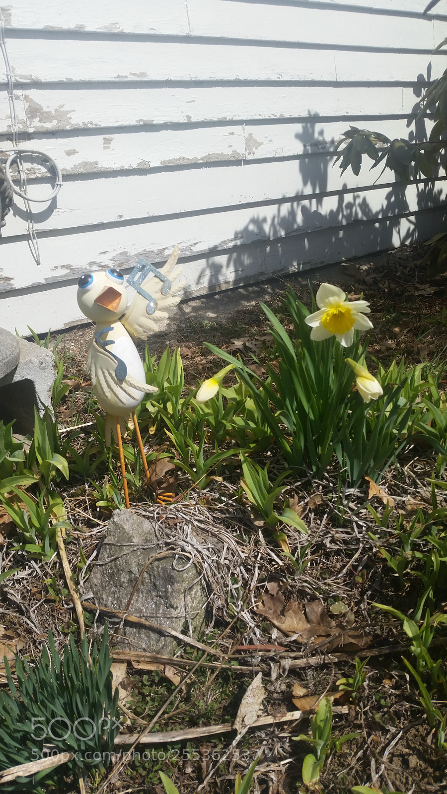 Samsung Galaxy S5 sample photo. Springtime photography