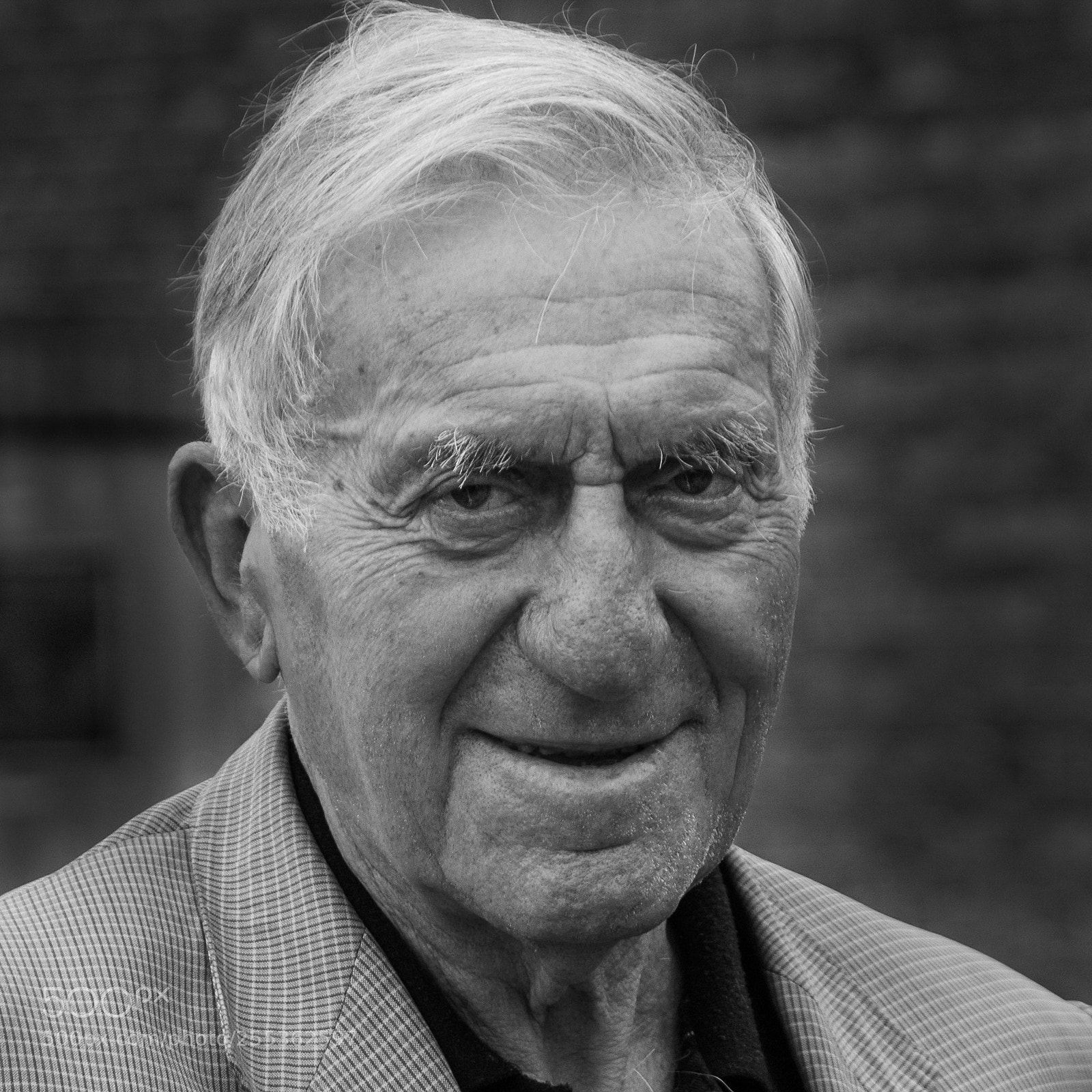 Nikon D70 sample photo. Belgian stud farmer photography