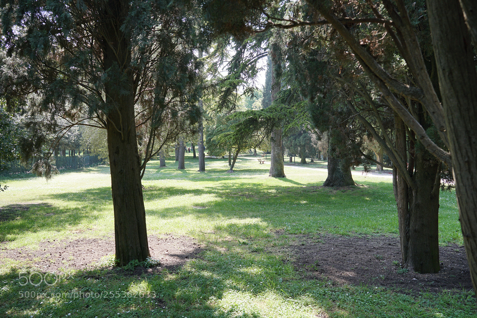 Sony a6300 sample photo. Park photography