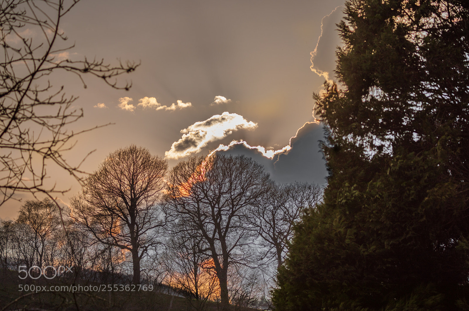 Canon EOS 5D Mark IV sample photo. Backlit clouds photography