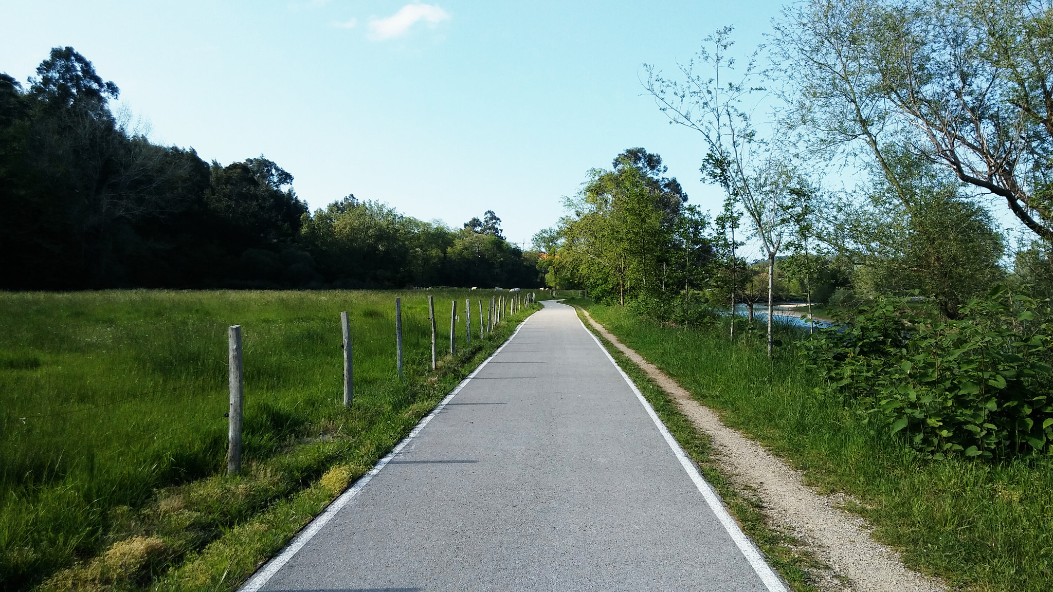 LG K10 sample photo. Green landscape photography