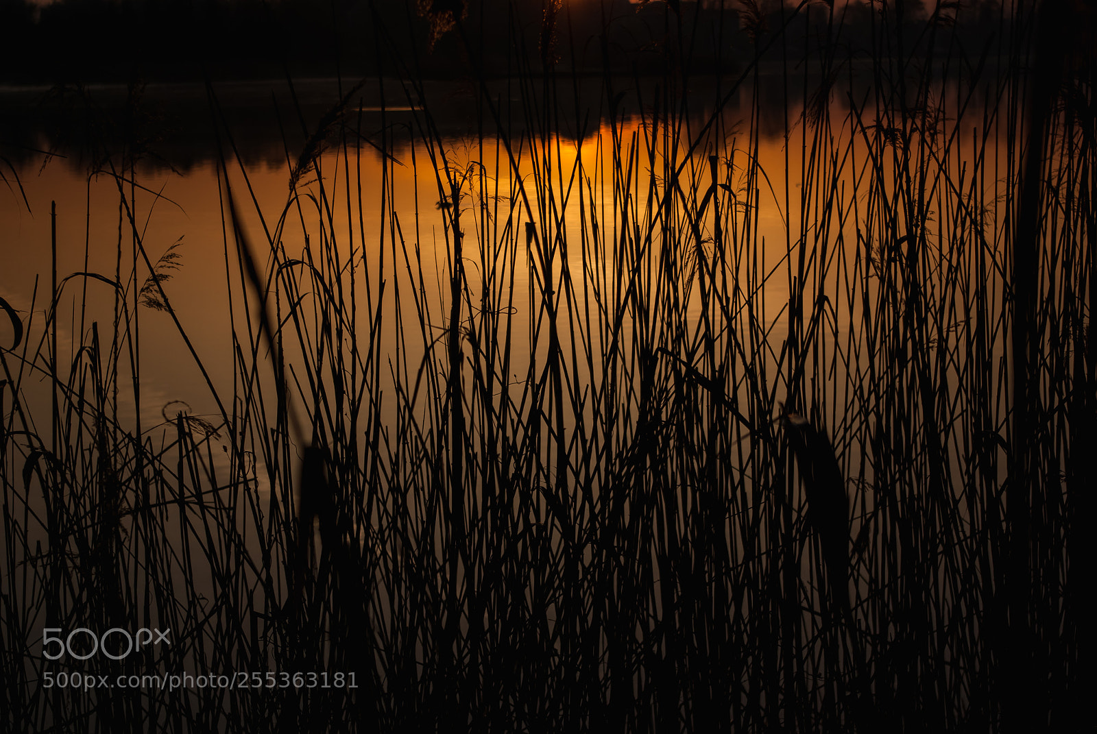Pentax K10D sample photo. Sunrise photography