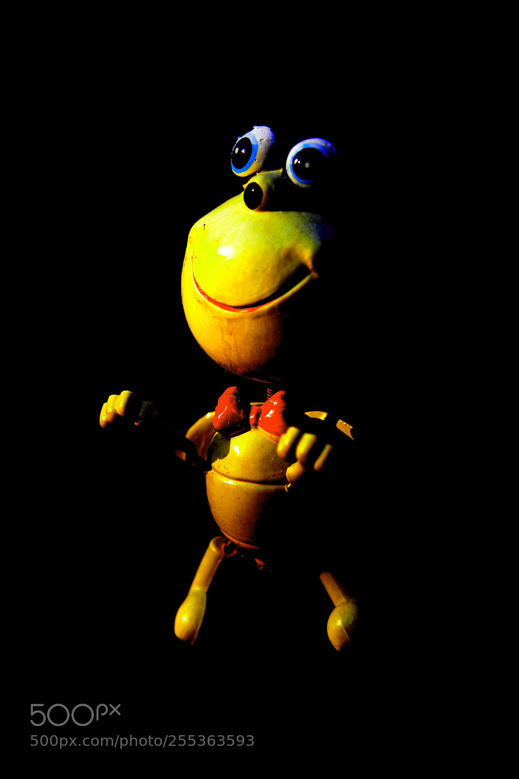 Nikon D600 sample photo. Puppet photography