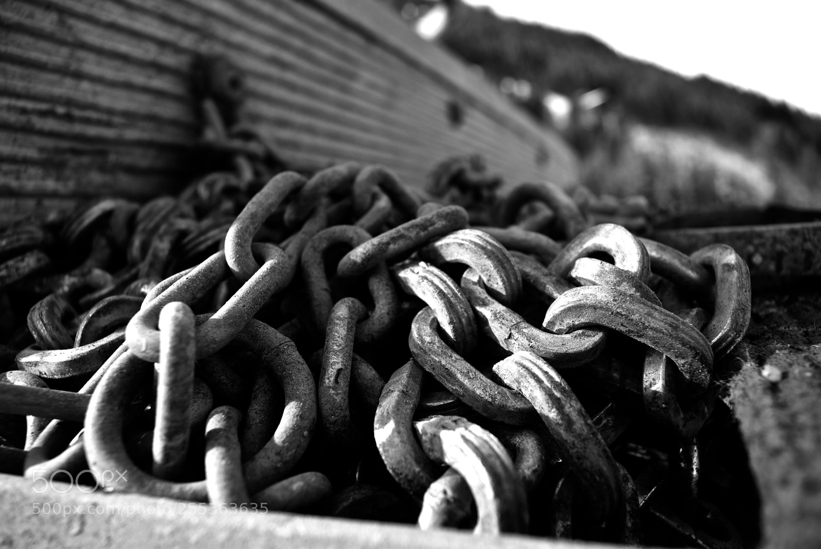 Nikon D3300 sample photo. Chain photography
