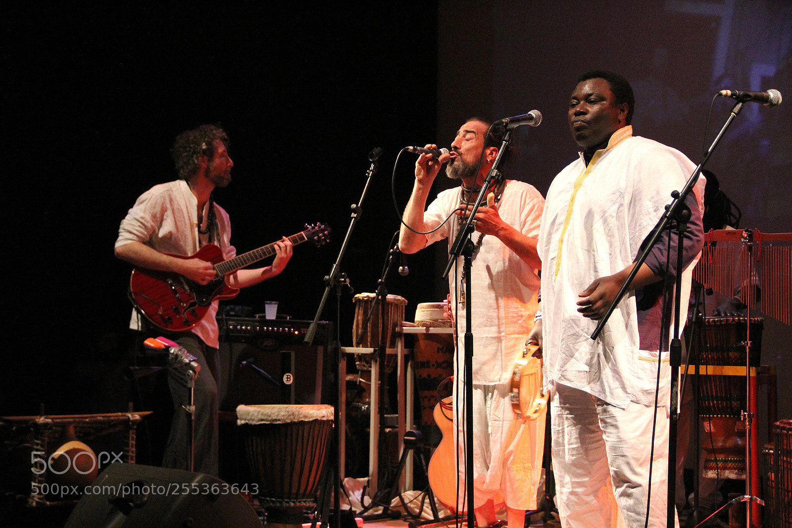 Canon EOS 60D sample photo. Senegal live 5 photography