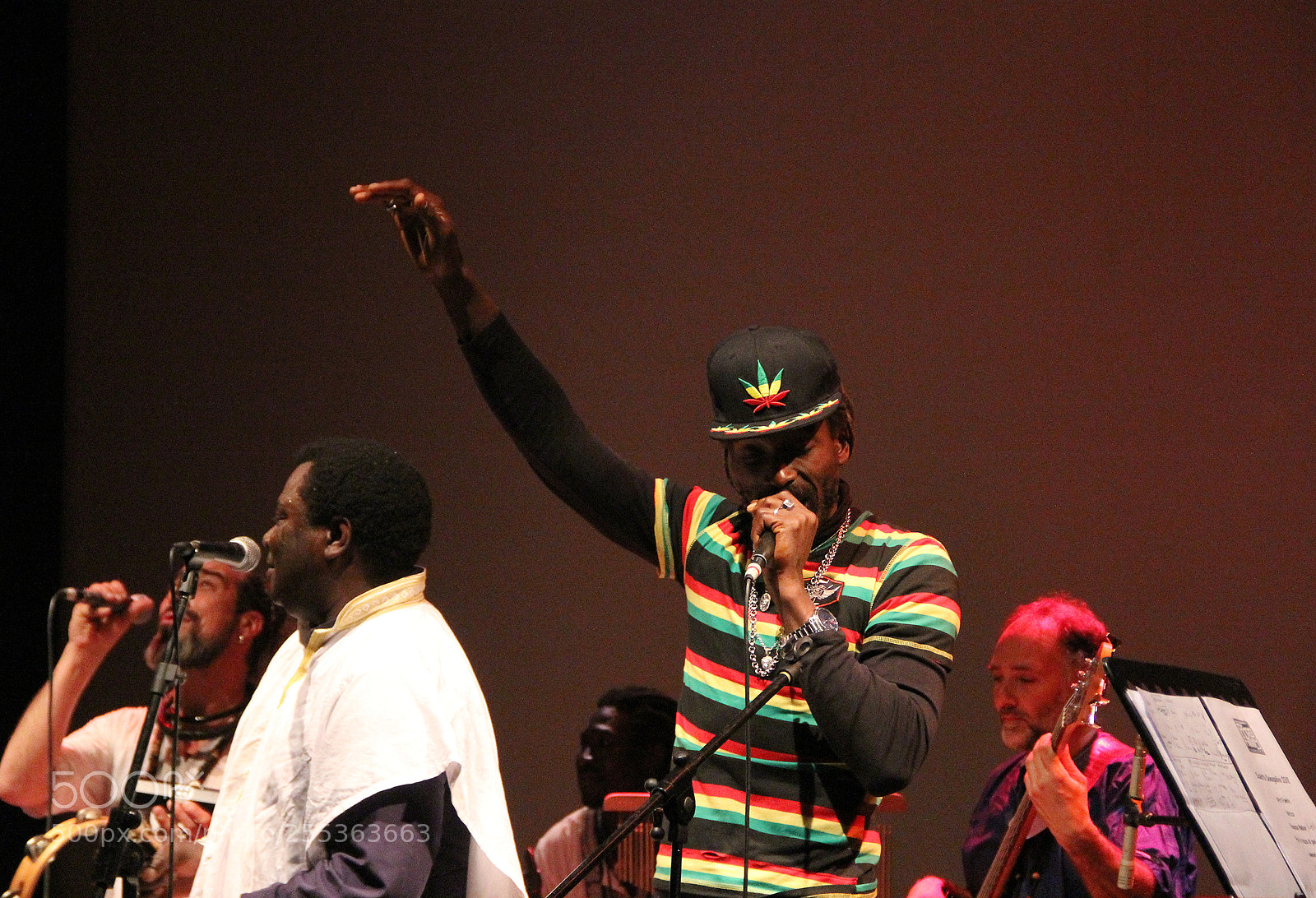 Canon EOS 60D sample photo. Senegal live 12 photography