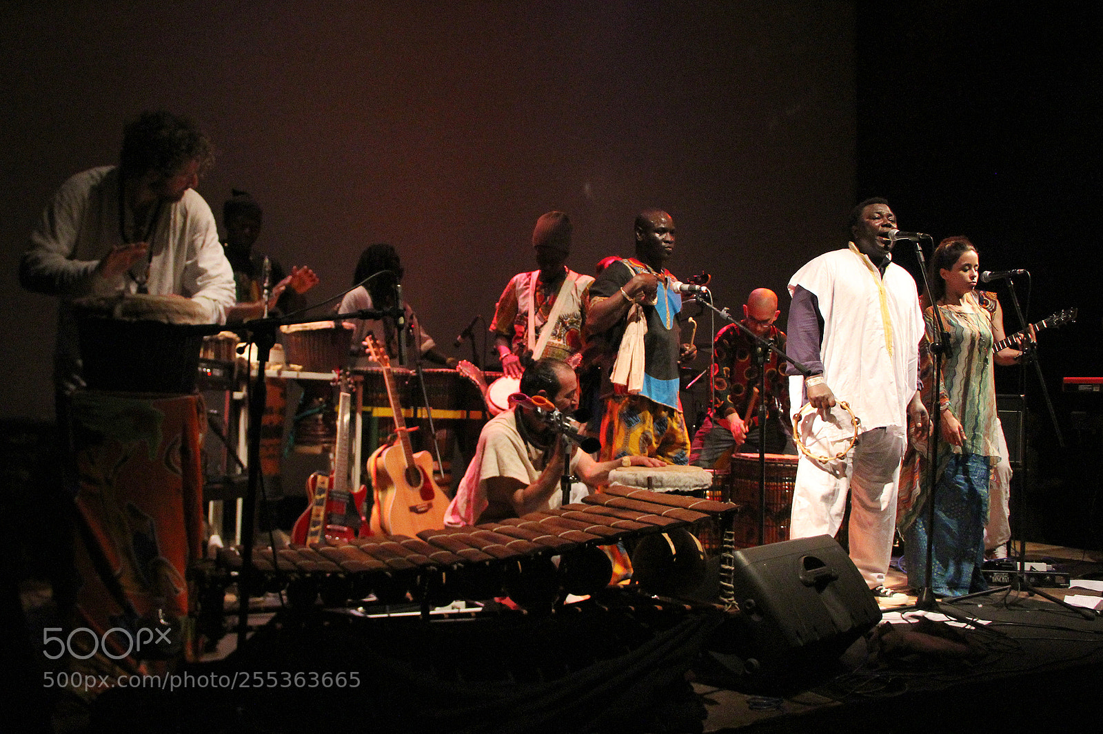 Canon EOS 60D sample photo. Senegal live 14 photography