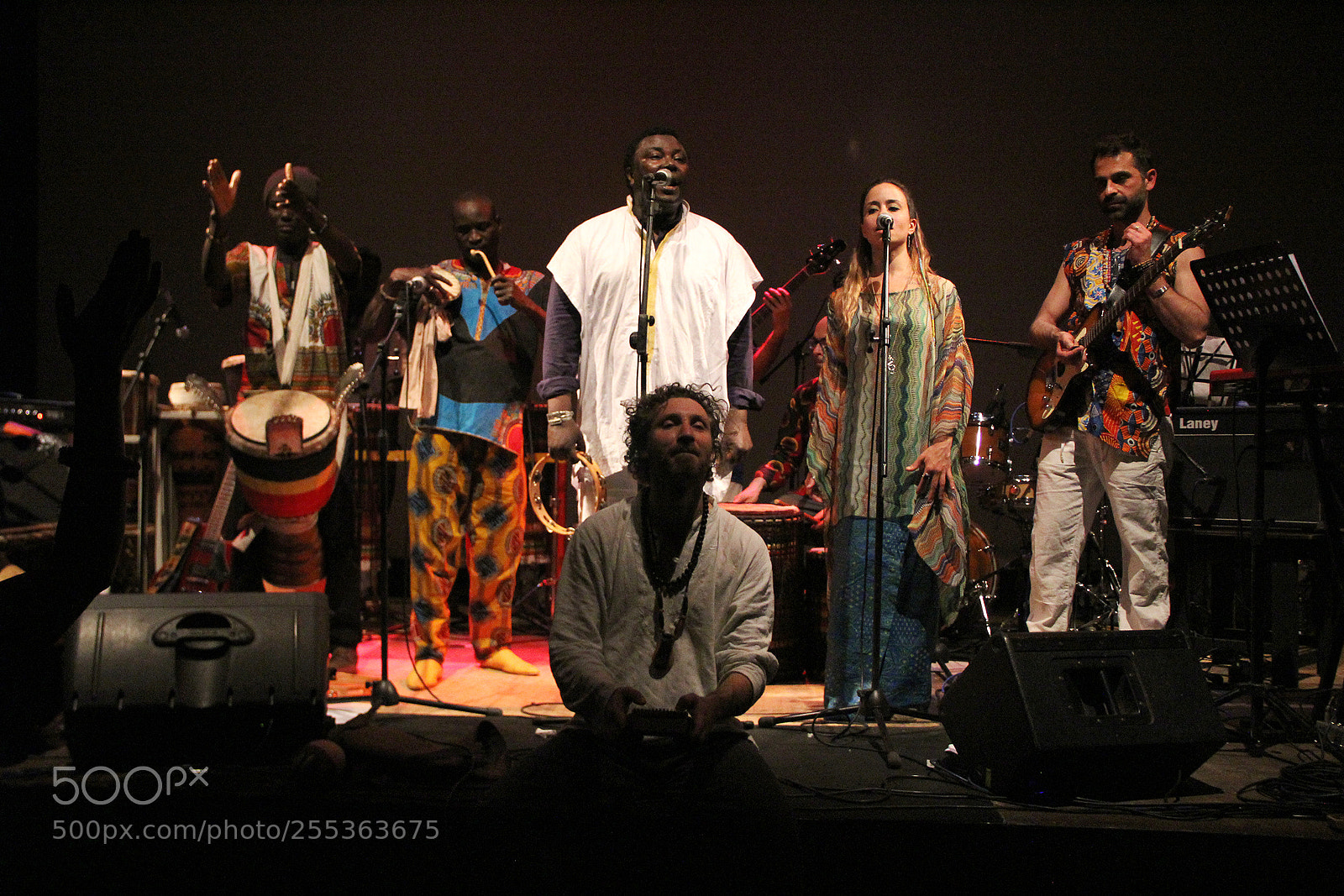 Canon EOS 60D sample photo. Senegal live 19 photography