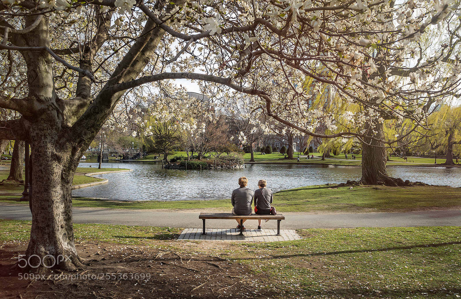 Olympus OM-D E-M10 III sample photo. Young couple at boston photography