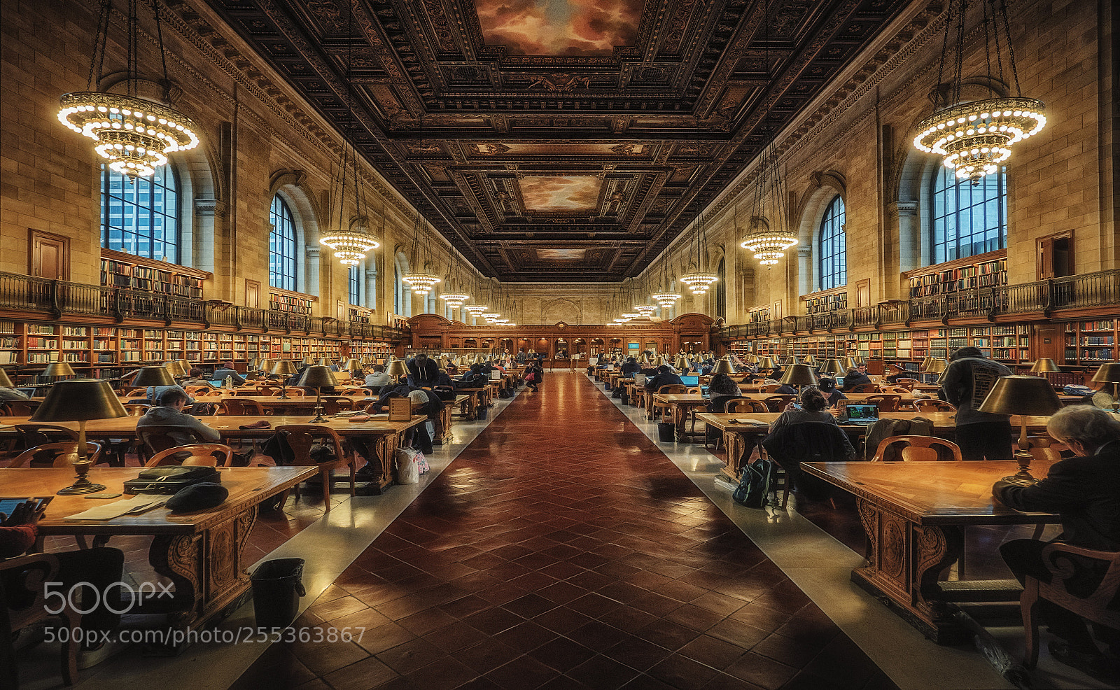 Olympus OM-D E-M1 Mark II sample photo. Rose main reading room photography