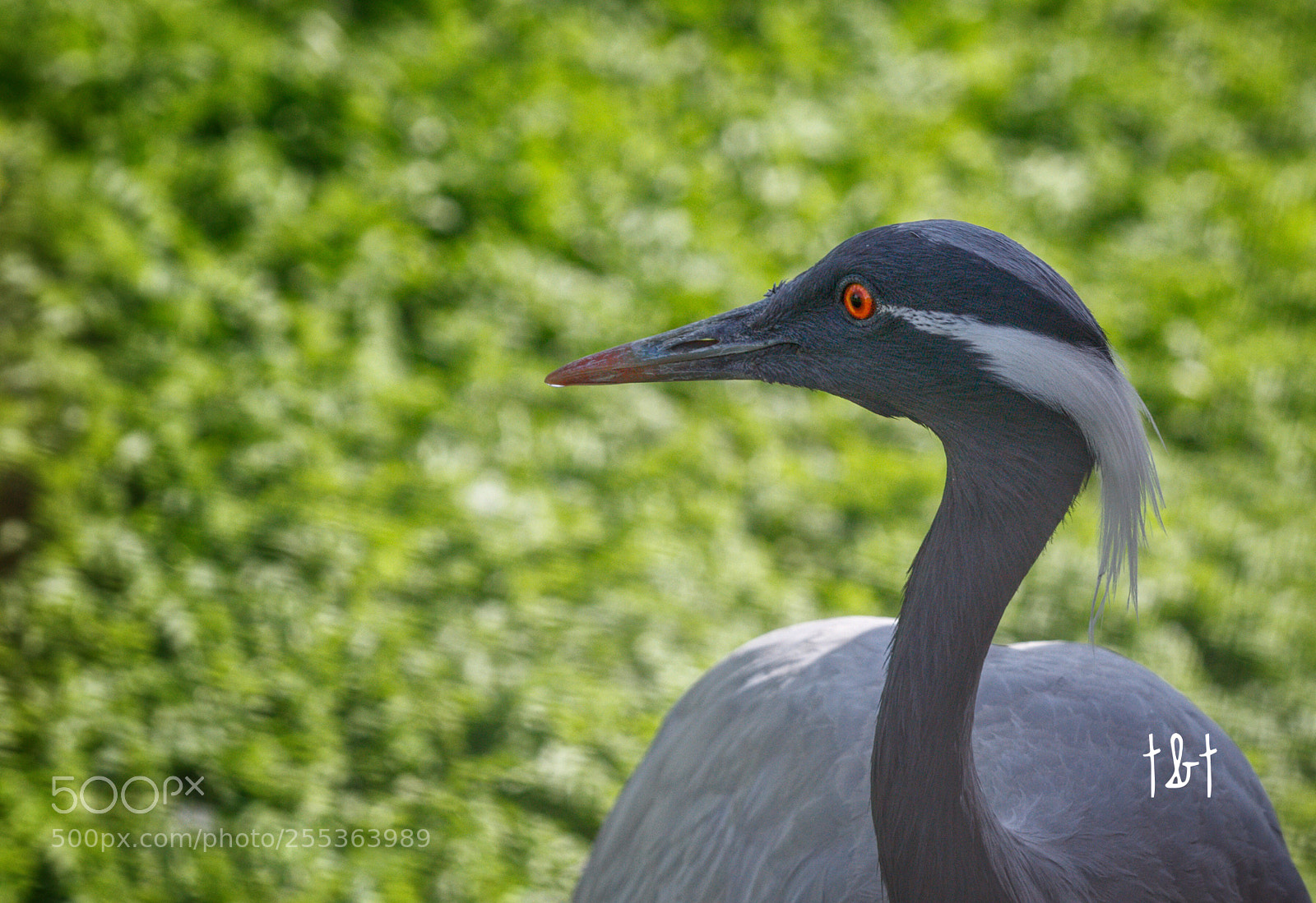Canon EOS 7D sample photo. Untitled photography