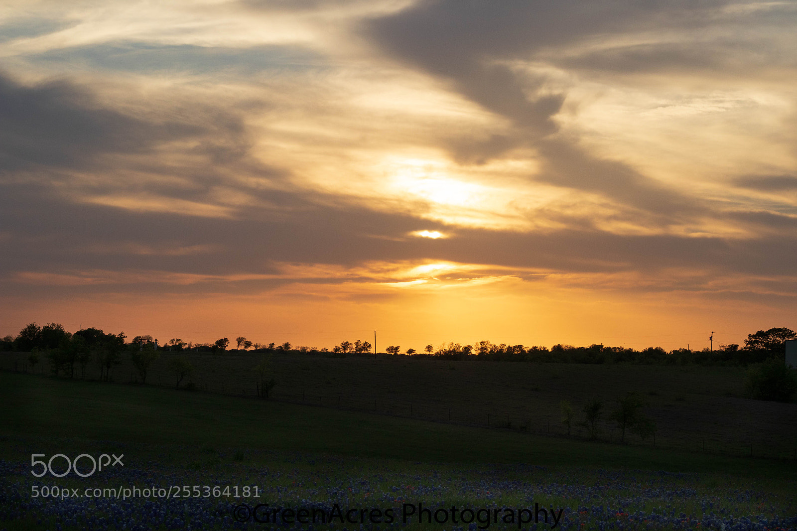 Canon EOS 800D (EOS Rebel T7i / EOS Kiss X9i) sample photo. Landscape photography