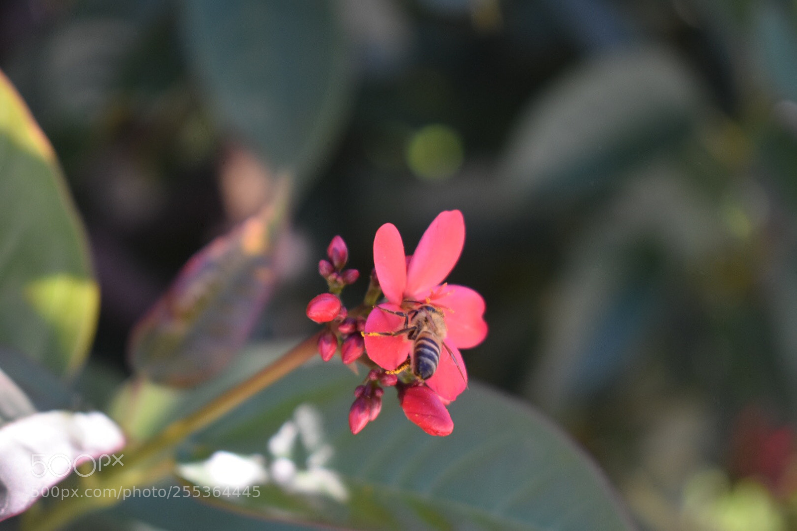 Nikon D3400 sample photo. Untitled photography