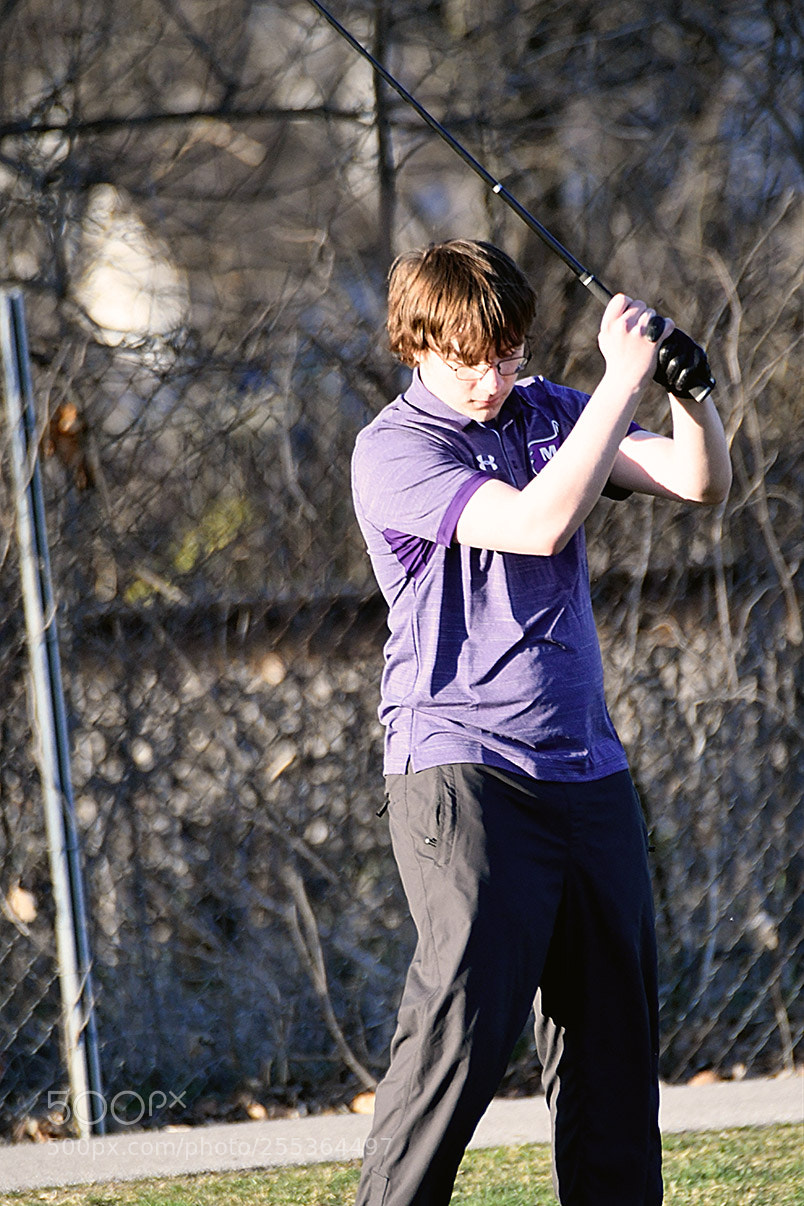 Nikon D500 sample photo. Dsc photography