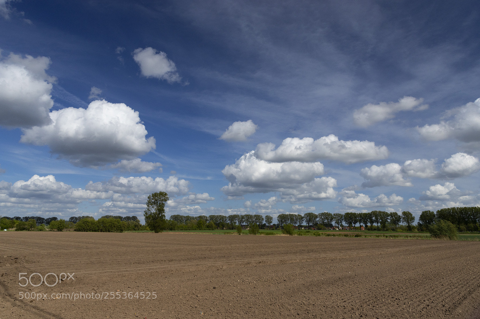 Canon EOS 6D Mark II sample photo. Beautiful clouds photography