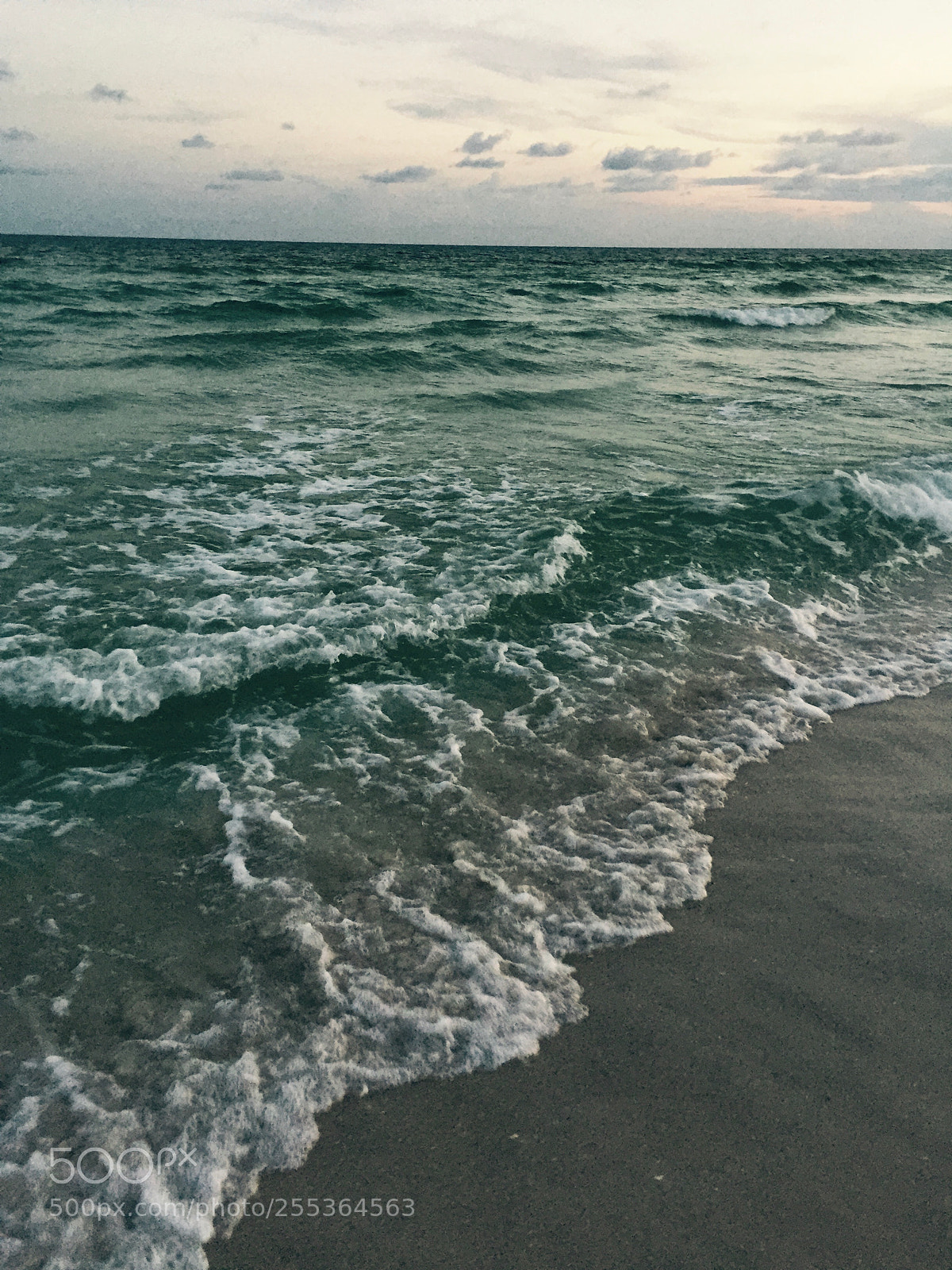 Apple iPhone 6 sample photo. Img photography