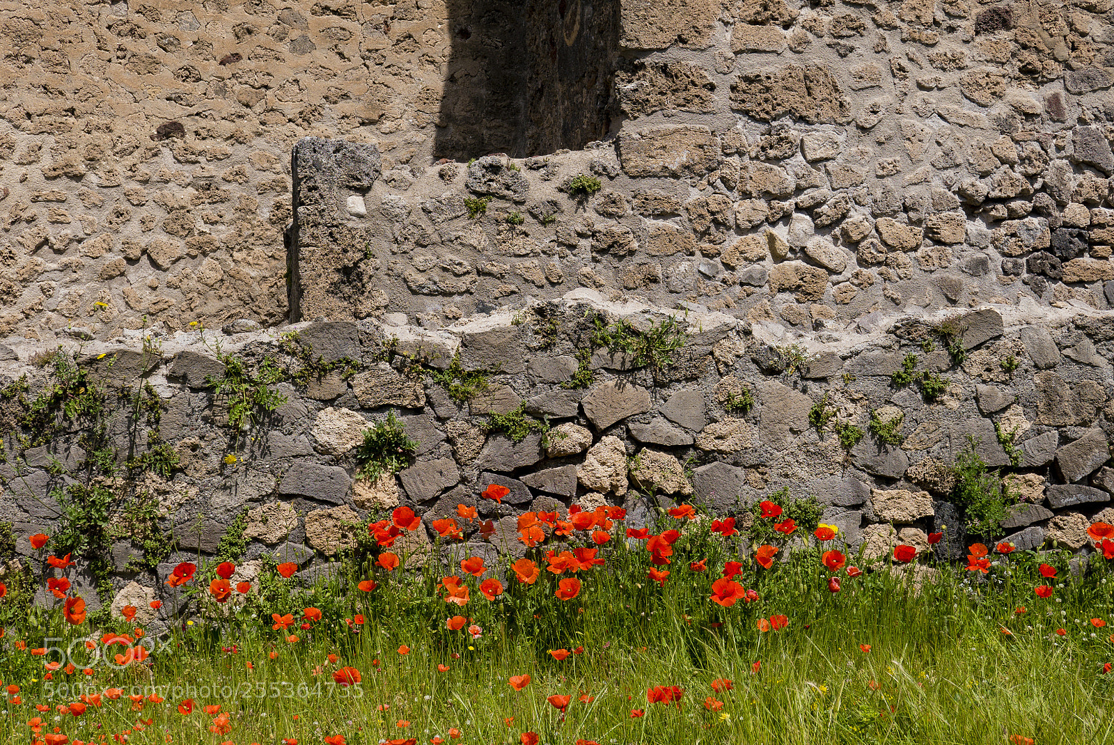 Panasonic Lumix DMC-LX100 sample photo. Scavi di pompei photography