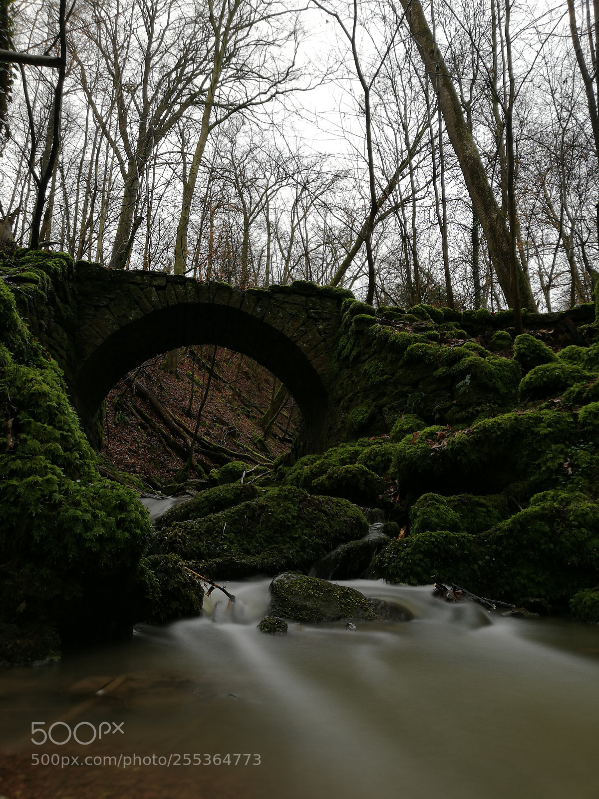 HUAWEI Mate 10 Lite sample photo. Old bridge overgrown with photography
