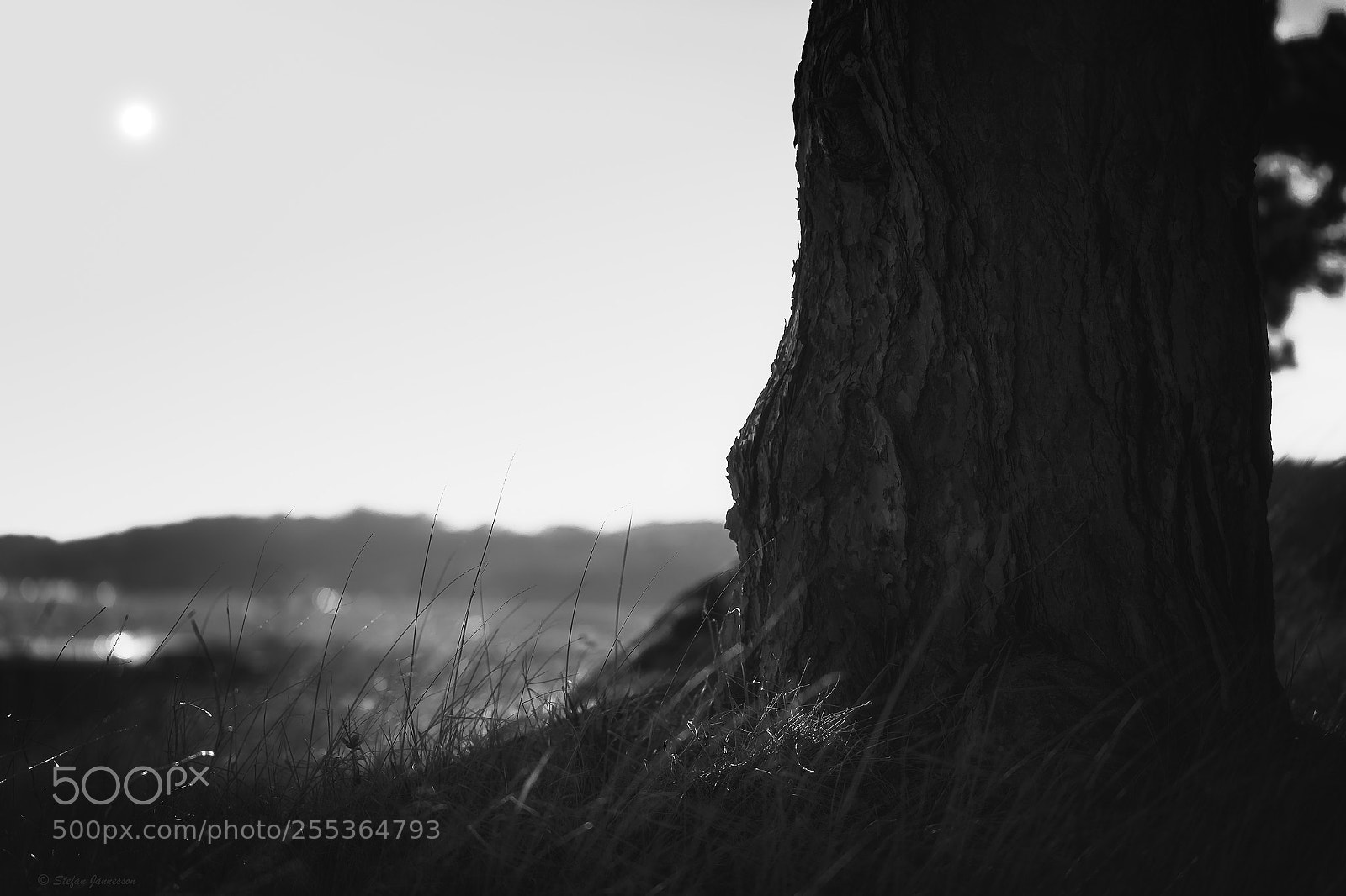Canon EOS 5DS R sample photo. Black † white photography