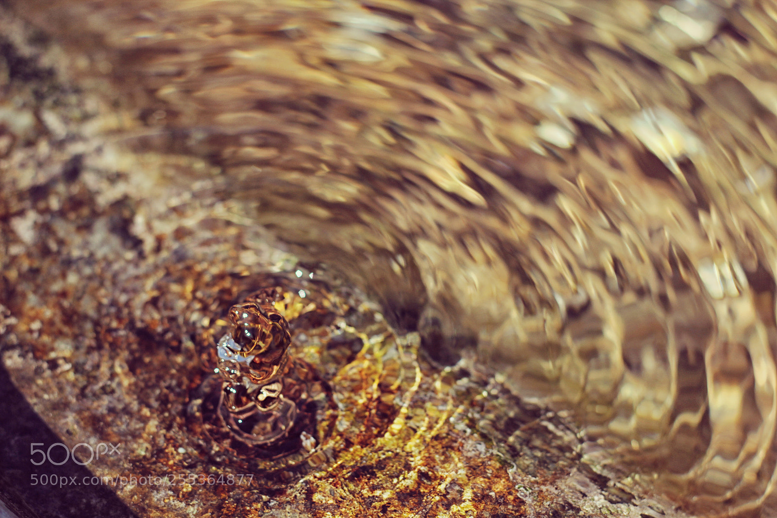 Canon EOS 60D sample photo. Drop the water of photography