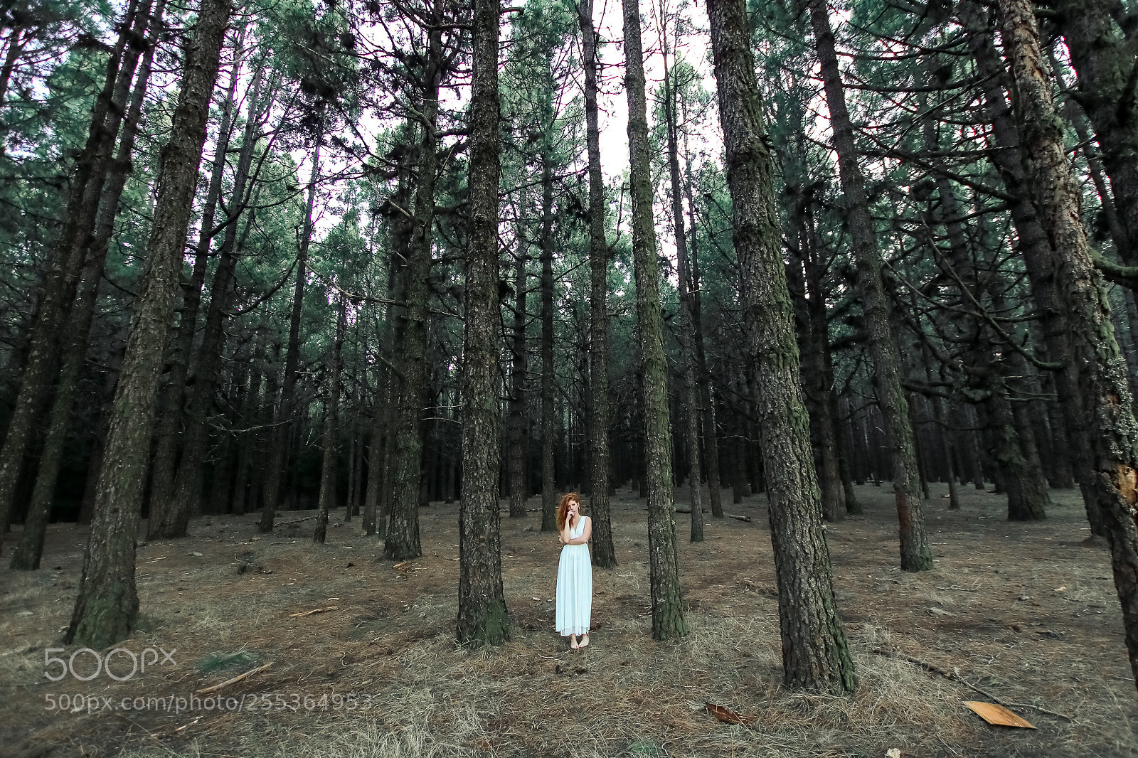 Canon EOS 760D (EOS Rebel T6s / EOS 8000D) sample photo. Resurrection photography