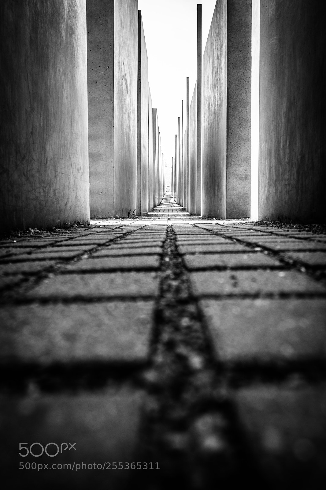 Fujifilm X-T20 sample photo. Holocaust-mahnmal (froschperspektive) photography