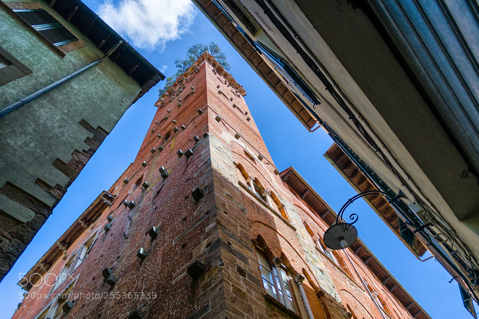 Nikon D500 sample photo. Guinigi tower, lucca photography