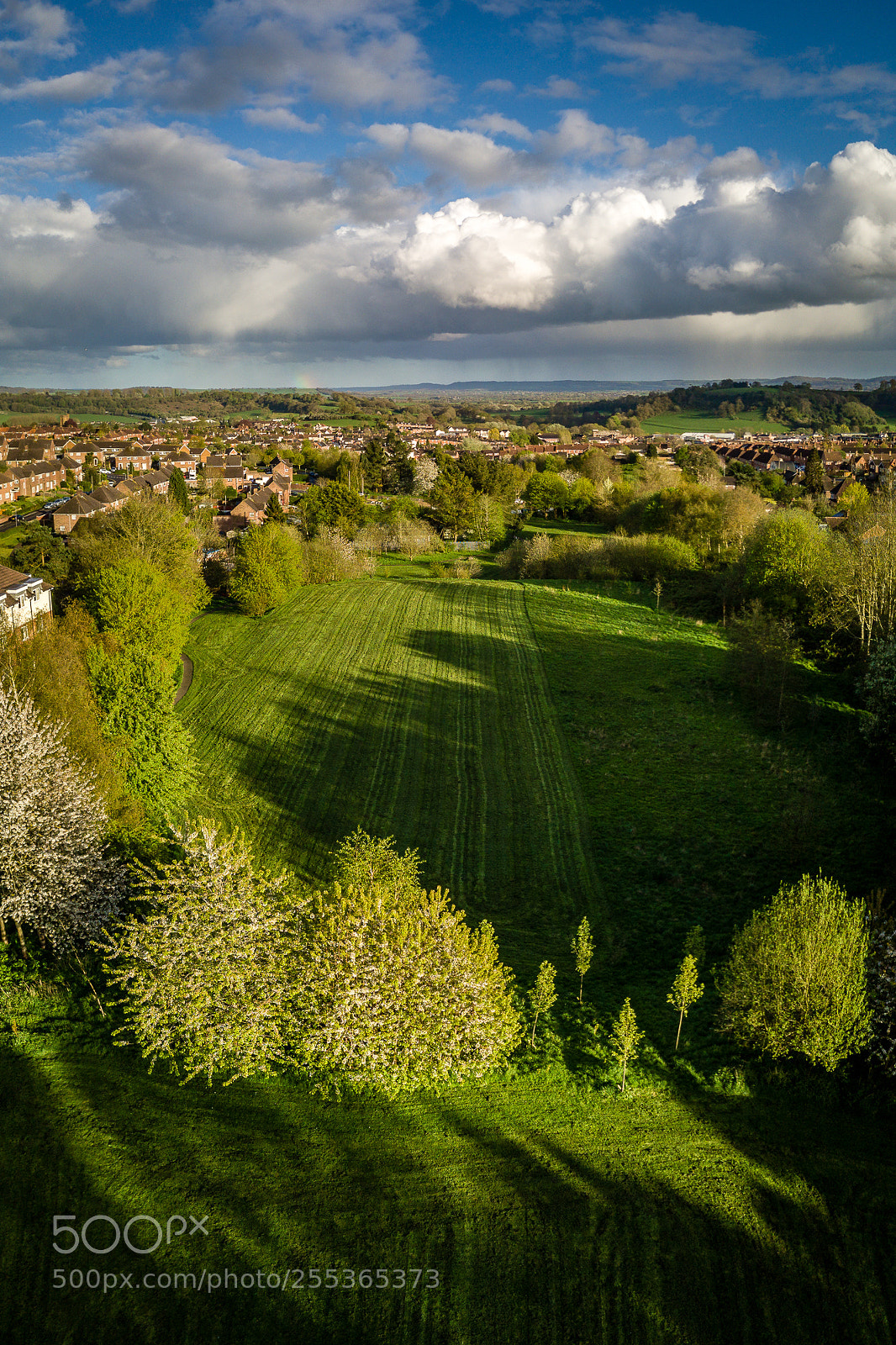 DJI FC220 sample photo. Freshly mown photography