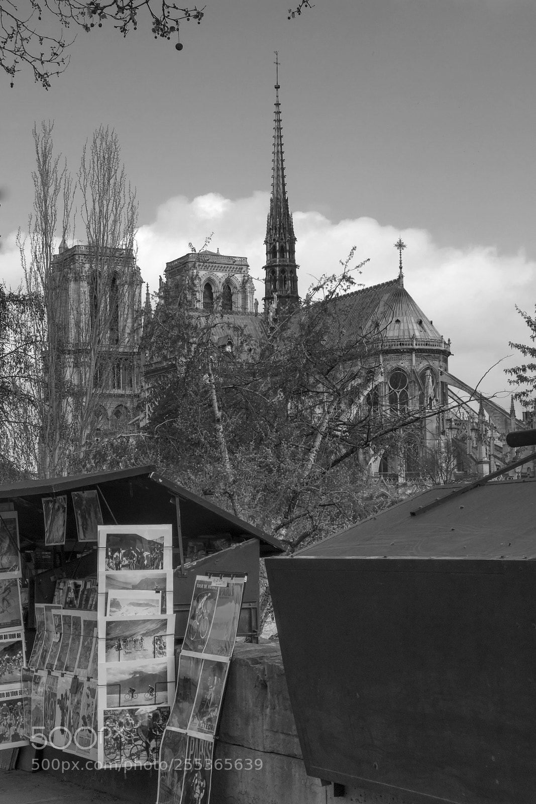Canon EOS 7D Mark II sample photo. Notre-dame de paris photography