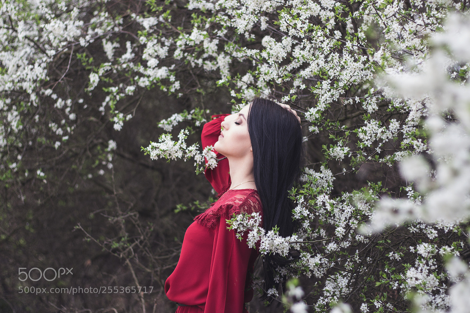Canon EOS 700D (EOS Rebel T5i / EOS Kiss X7i) sample photo. Red photography