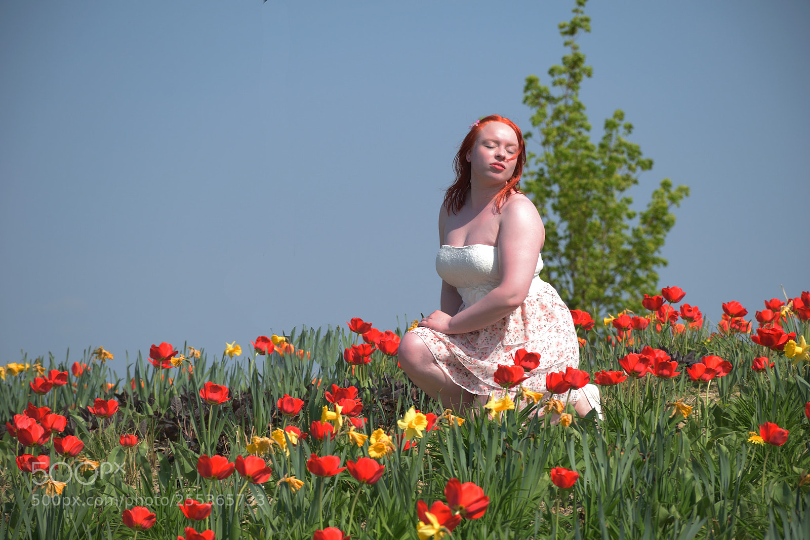 Nikon D5300 sample photo. Farbenkleckse photography