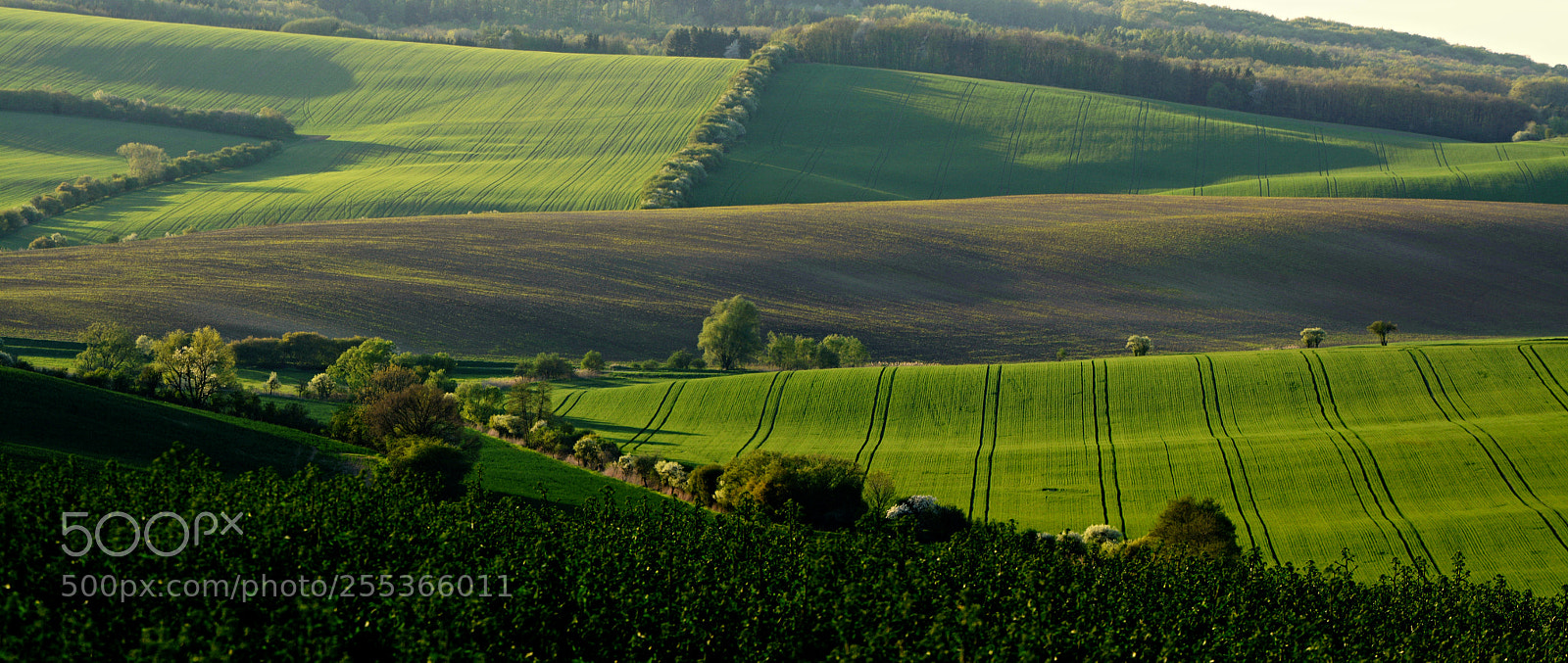 Nikon D7100 sample photo. Spring view to the photography